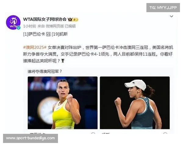 巴西选手玛雅伤退WTA年终赛，期待明年澳网复出